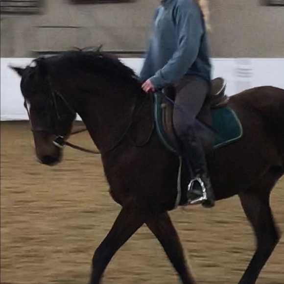 Meet your Posher, Morgan - Picture 2 of 8